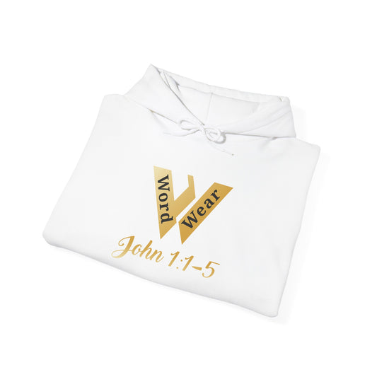 Inspirational Faith Hoodie - John 1:1-5